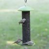 Outdoor Metal Mesh Tube Hanging Bird Feeder with Green Top and Perch